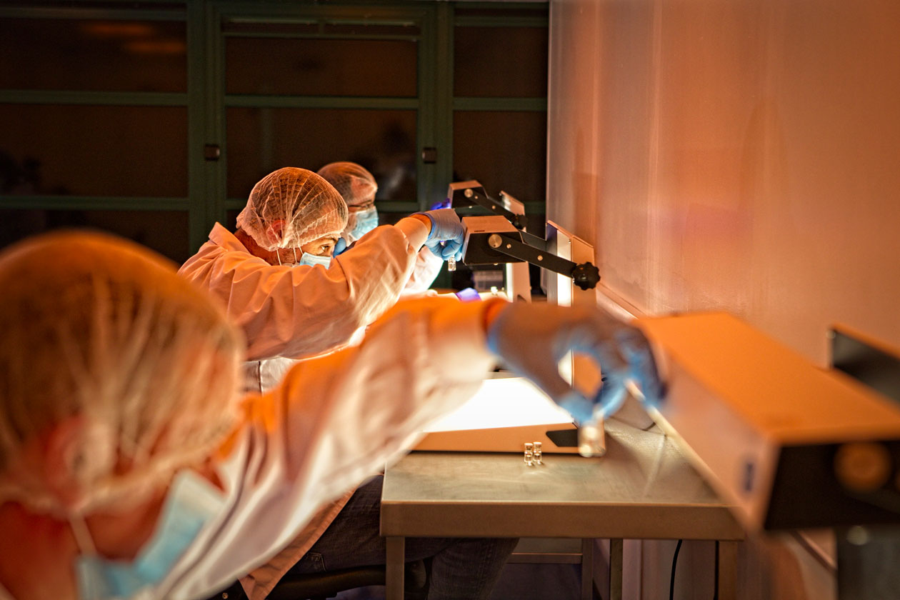 Row of sterile manufacturing scientists sat in a laboratory wearing PPE conducting visual inspection of drug product vials