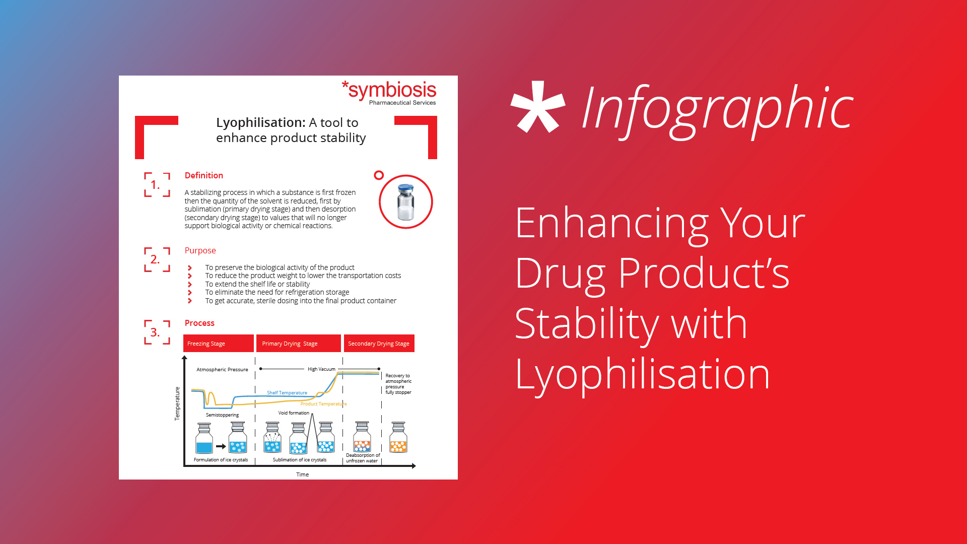 Infographic: Enhancing Your Drug Product’s Stability with Lyophilisation